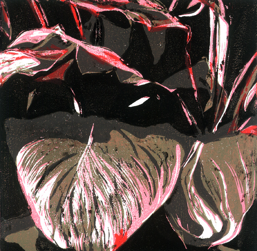 ti plant II